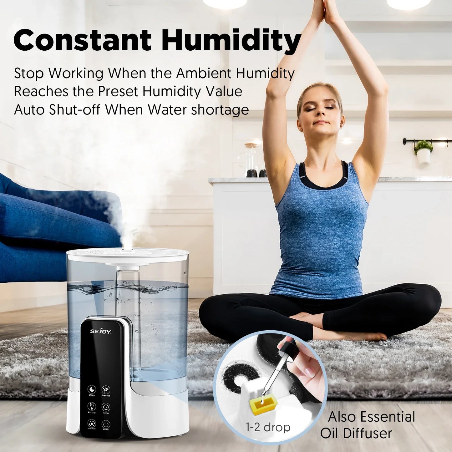 Cathnie 110-220V 6L Air Humidifier